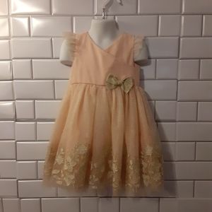 Toddler girls floral gold lace and pink tutu dress